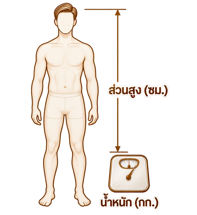 วิธีวัดไซซ์: ส่วนสูง (ซม.) และน้ำหนัก (กก.)